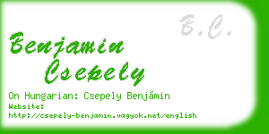 benjamin csepely business card