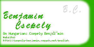 benjamin csepely business card